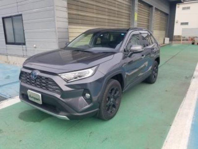 ＲＡＶ４（新潟県長岡市）