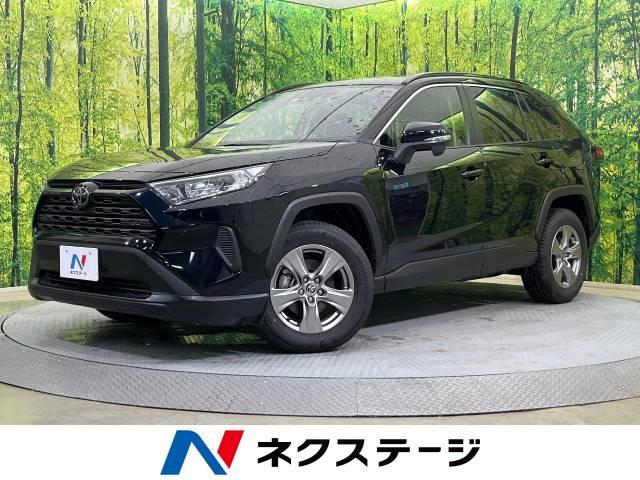 ＲＡＶ４（新潟県新潟市南区）