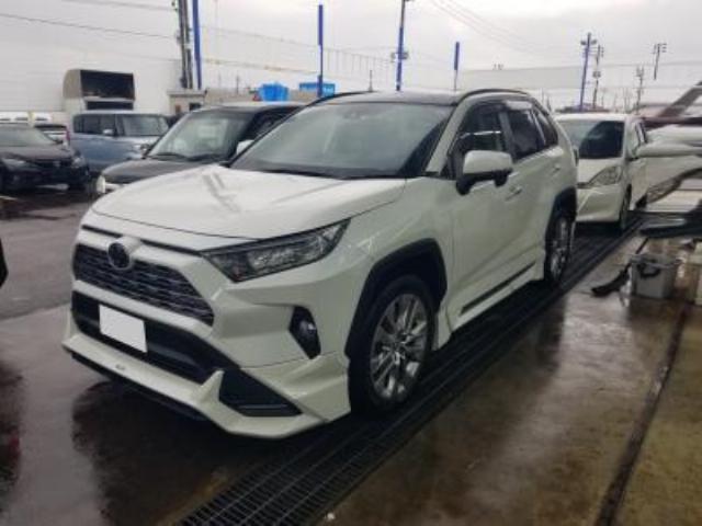 ＲＡＶ４（新潟県新潟市中央区）