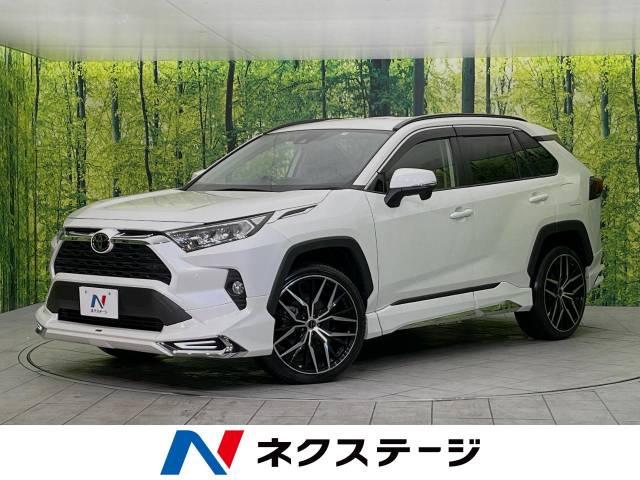 ＲＡＶ４（新潟県新潟市東区）