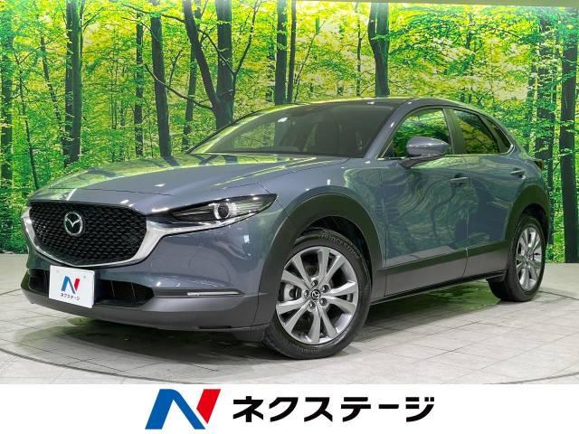 ＣＸ－３０（新潟県長岡市）