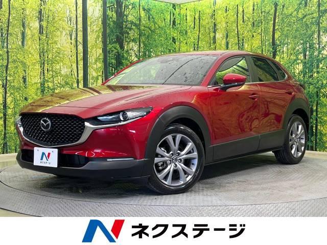 ＣＸ－３０（新潟県新潟市南区）