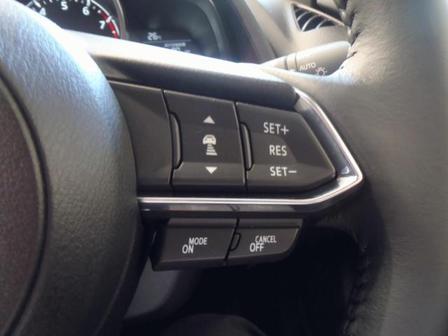 ＭＡＺＤＡ２（新潟県新発田市）画像10
