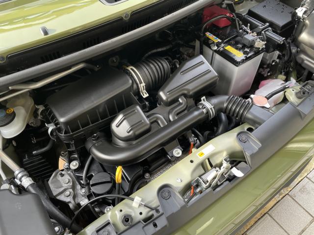 タフト（新潟県長岡市）画像48