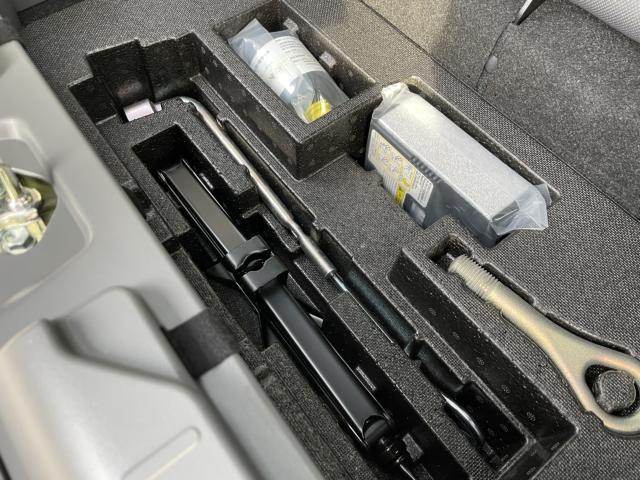 タフト（新潟県長岡市）画像41