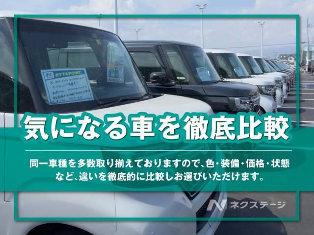 ハスラー（新潟県長岡市）