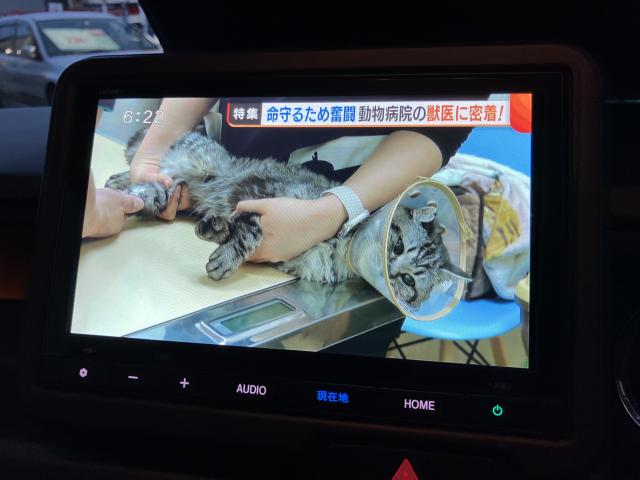 N＿BOXカスタム（新潟県長岡市）画像20