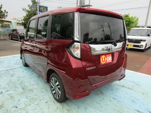 ルーミー（新潟県糸魚川市）画像9