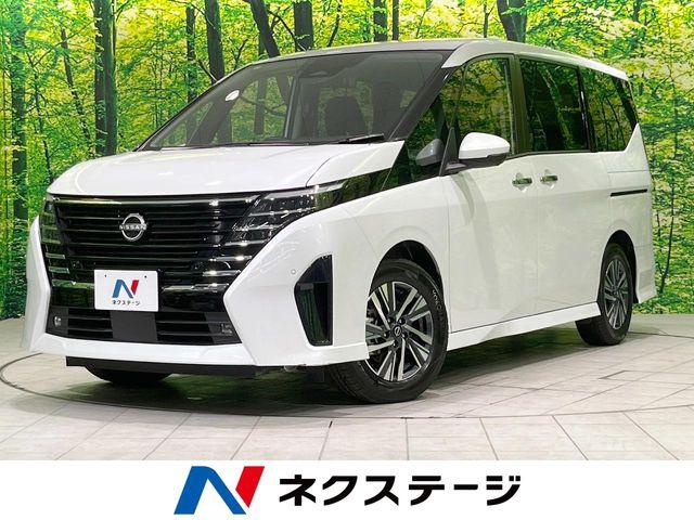 セレナ（新潟県長岡市）