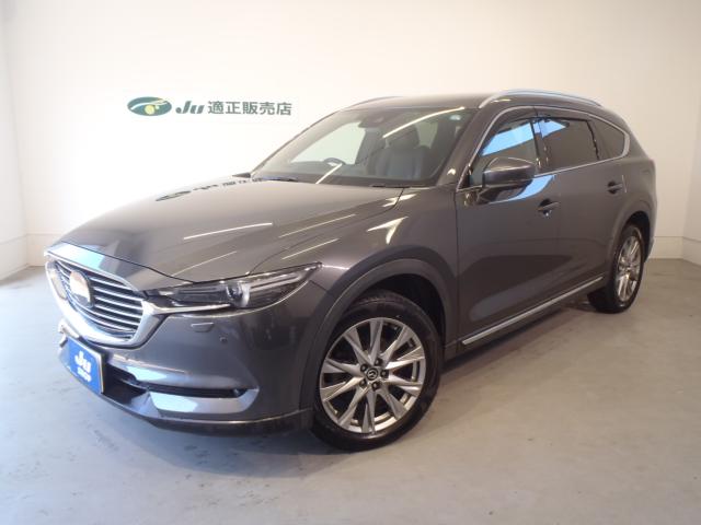 CX-8（新潟県新発田市）画像2