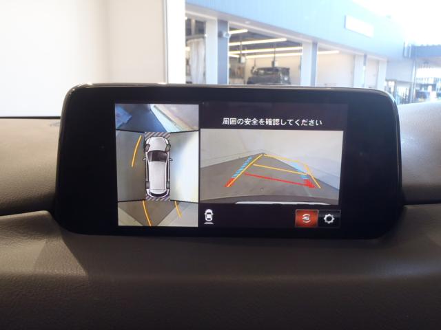 CX-8（新潟県新発田市）画像12