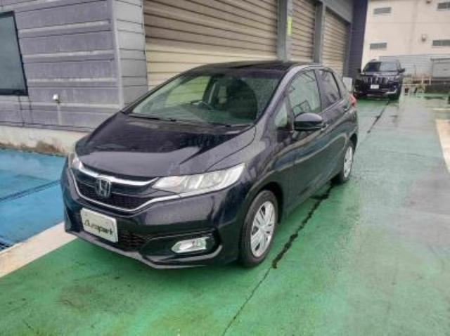 フィット（新潟県長岡市）