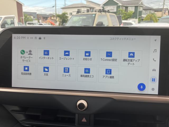 クラウンスポーツ（新潟県新潟市南区）画像30