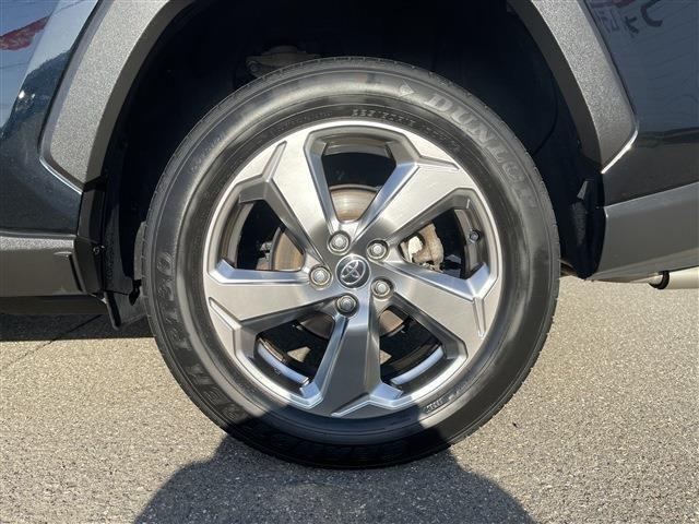 ＲＡＶ４（新潟県柏崎市）