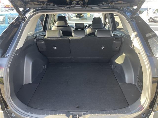ＲＡＶ４（新潟県柏崎市）