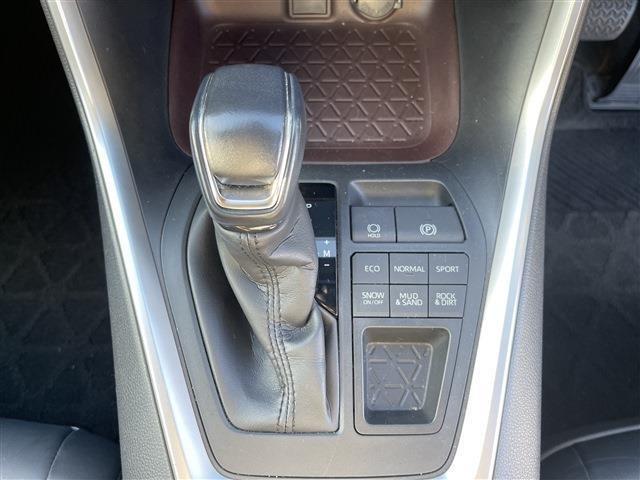 ＲＡＶ４（新潟県柏崎市）