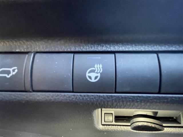 ＲＡＶ４（新潟県柏崎市）