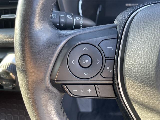 ＲＡＶ４（新潟県柏崎市）