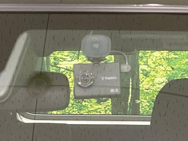 タフト（新潟県長岡市）画像7