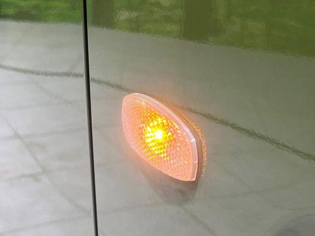 タフト（新潟県長岡市）画像24