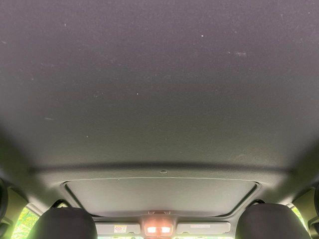 タフト（新潟県長岡市）画像34