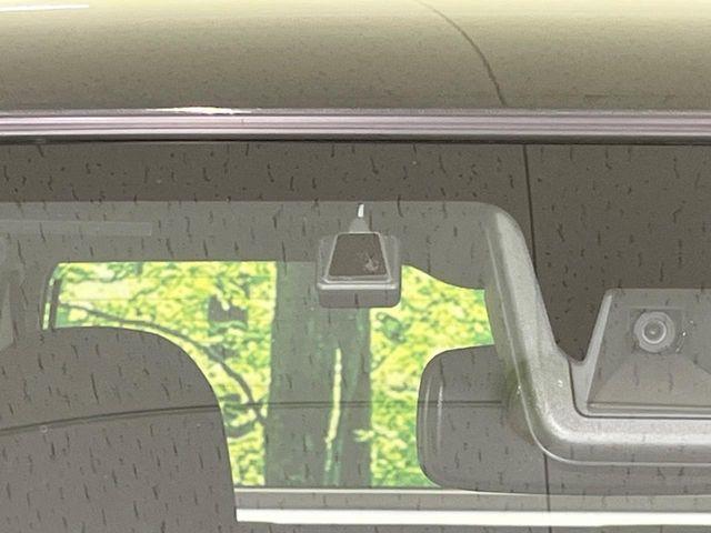 タフト（新潟県長岡市）画像60