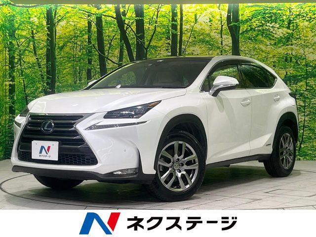 レクサスＮＸ（新潟県長岡市）
