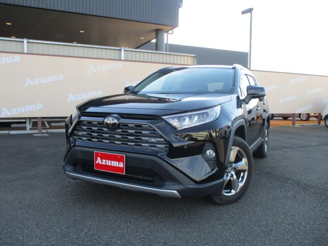 ＲＡＶ４（新潟県上越市）