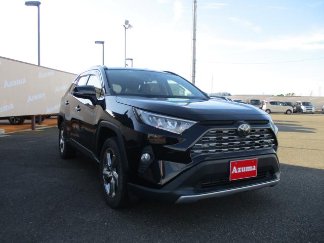 ＲＡＶ４（新潟県上越市）画像4