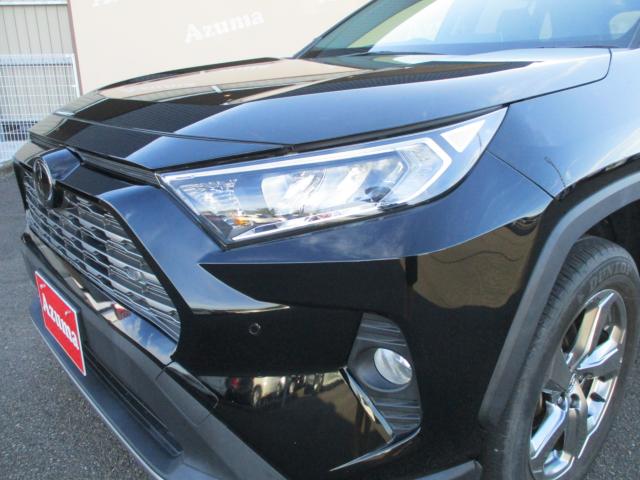 ＲＡＶ４（新潟県上越市）画像10