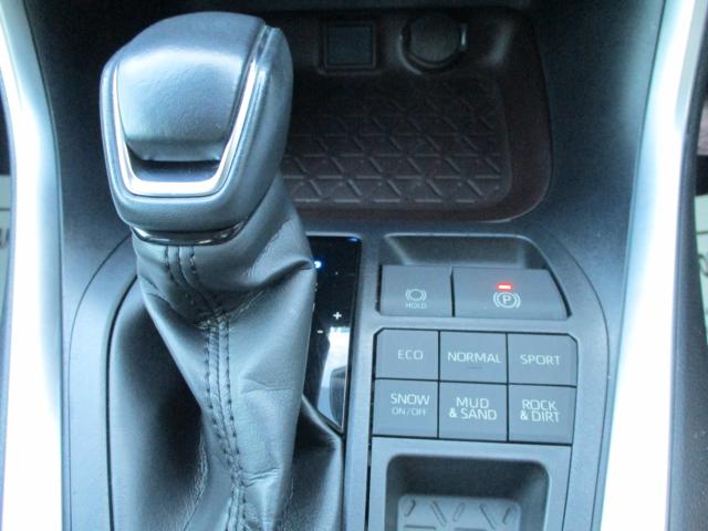 ＲＡＶ４（新潟県上越市）画像24