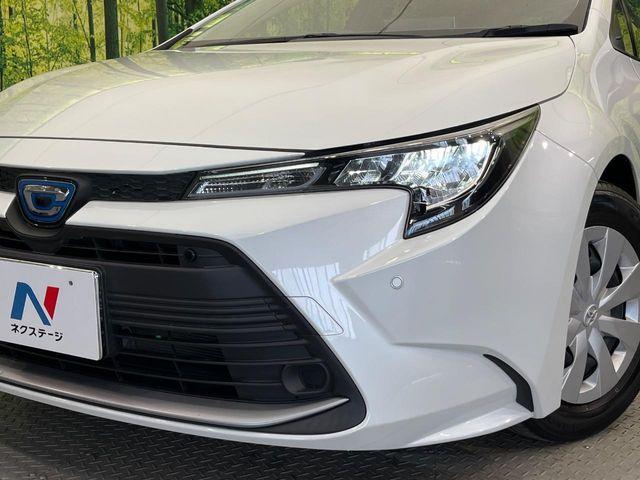 カローラツーリング（新潟県新潟市南区）