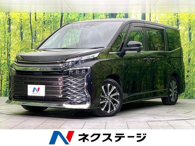 ヴォクシー（新潟県新潟市東区）