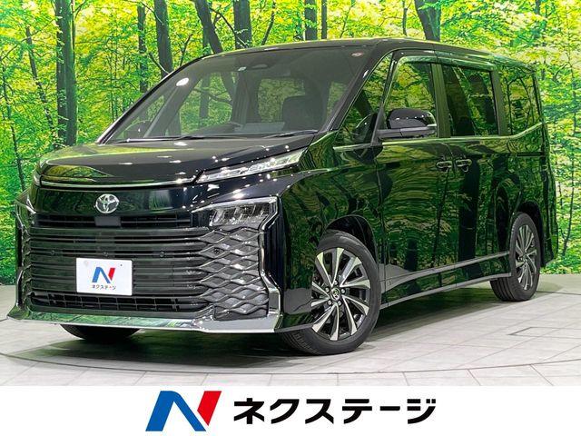 ヴォクシー（新潟県長岡市）