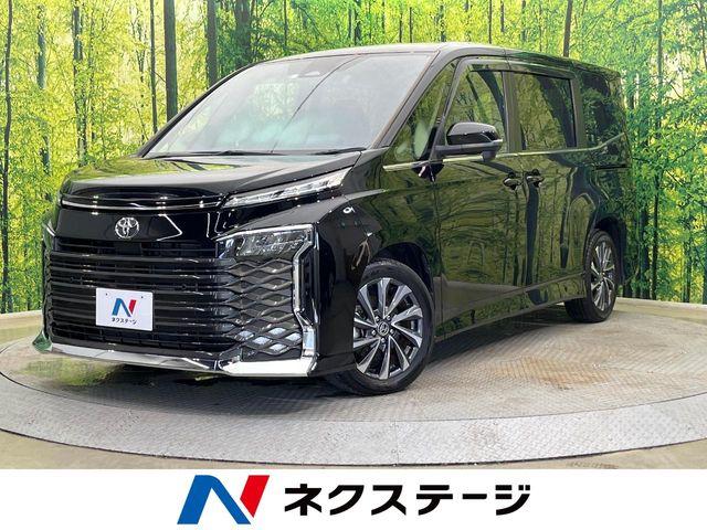 ヴォクシー（新潟県新潟市南区）
