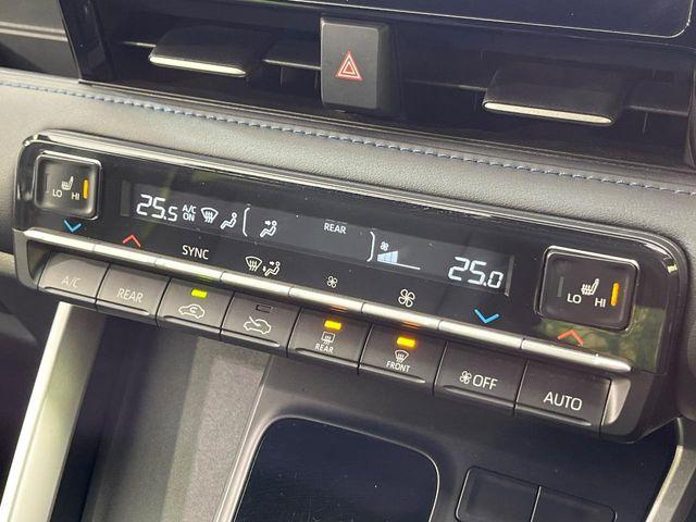 ヴォクシー（新潟県新潟市南区）