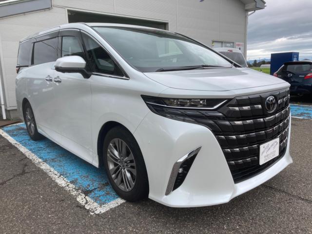 アルファード（新潟県新潟市西蒲区）画像9