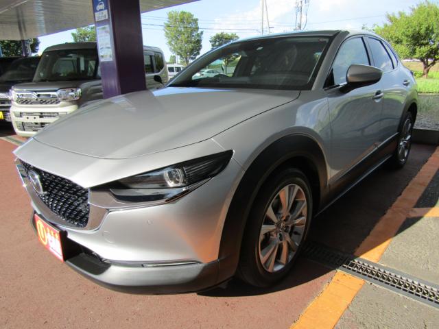ＣＸ－３０（新潟県糸魚川市）画像7