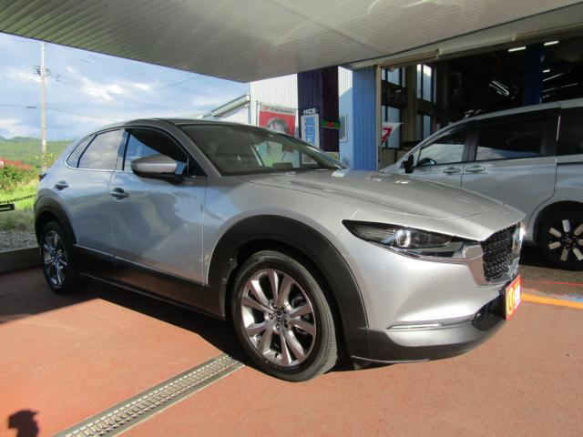 ＣＸ－３０（新潟県糸魚川市）画像6