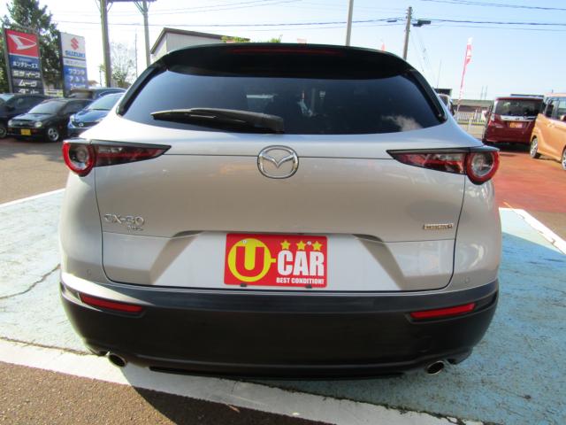 ＣＸ－３０（新潟県糸魚川市）画像3