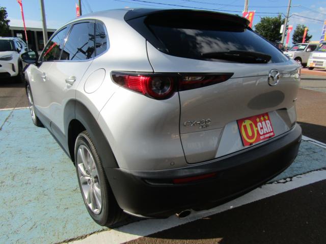 ＣＸ－３０（新潟県糸魚川市）画像9