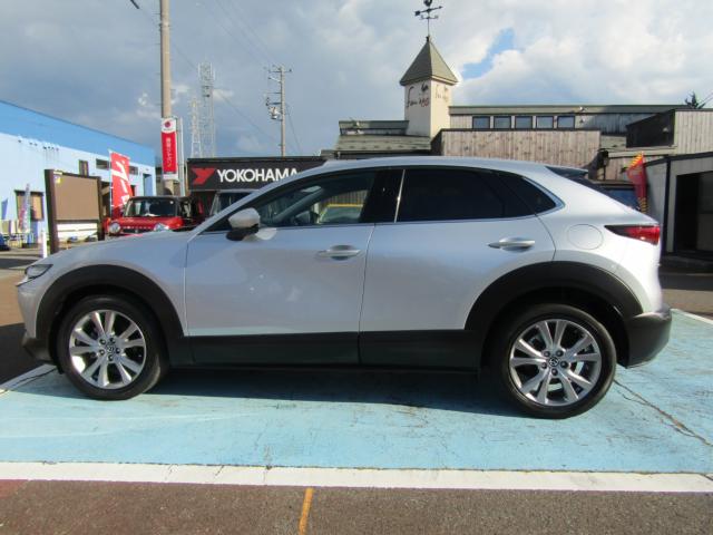 ＣＸ－３０（新潟県糸魚川市）画像5