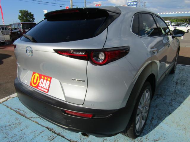 ＣＸ－３０（新潟県糸魚川市）画像8