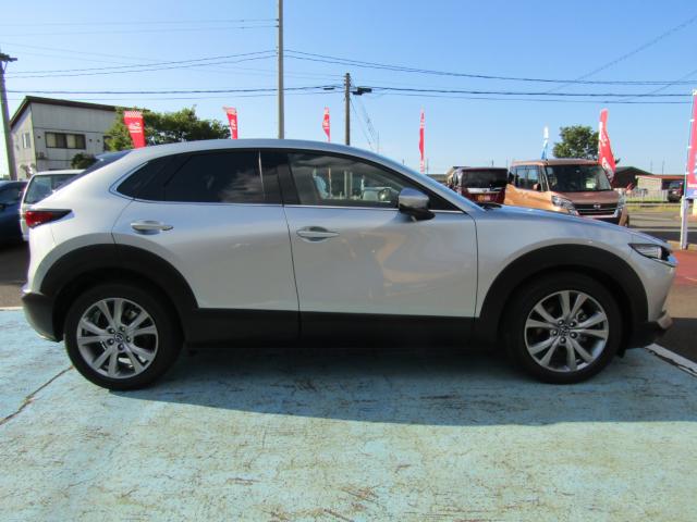 ＣＸ－３０（新潟県糸魚川市）画像4
