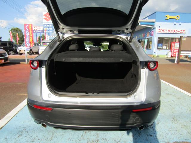 ＣＸ－３０（新潟県糸魚川市）画像23