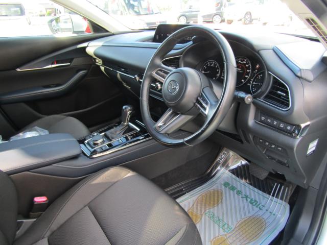ＣＸ－３０（新潟県糸魚川市）画像15