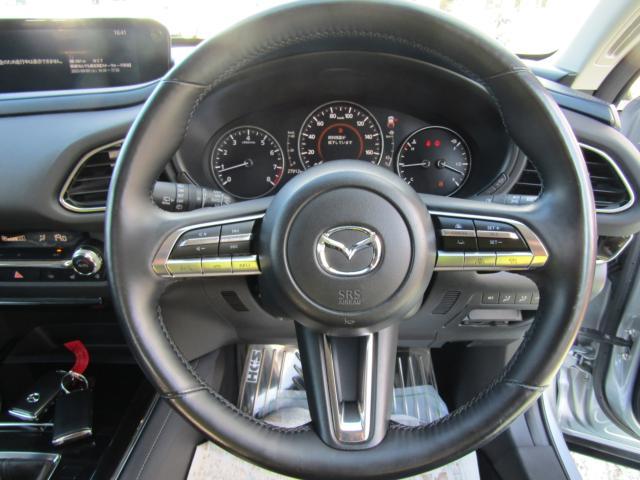 ＣＸ－３０（新潟県糸魚川市）画像19