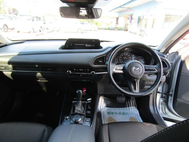 ＣＸ－３０（新潟県糸魚川市）画像18
