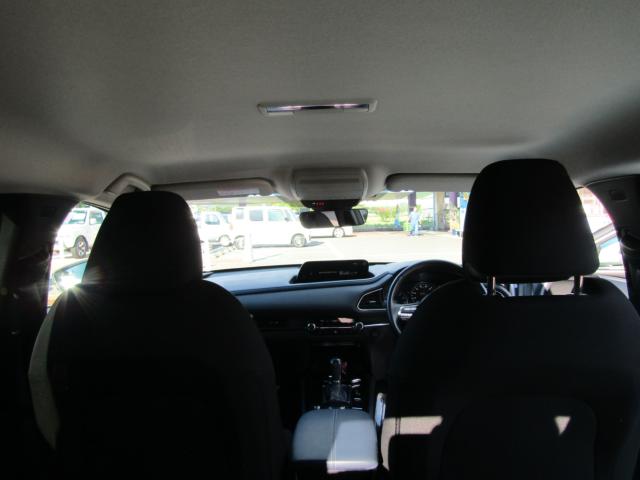 ＣＸ－３０（新潟県糸魚川市）画像20