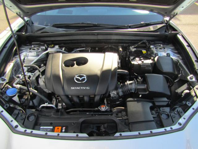 ＣＸ－３０（新潟県糸魚川市）画像21